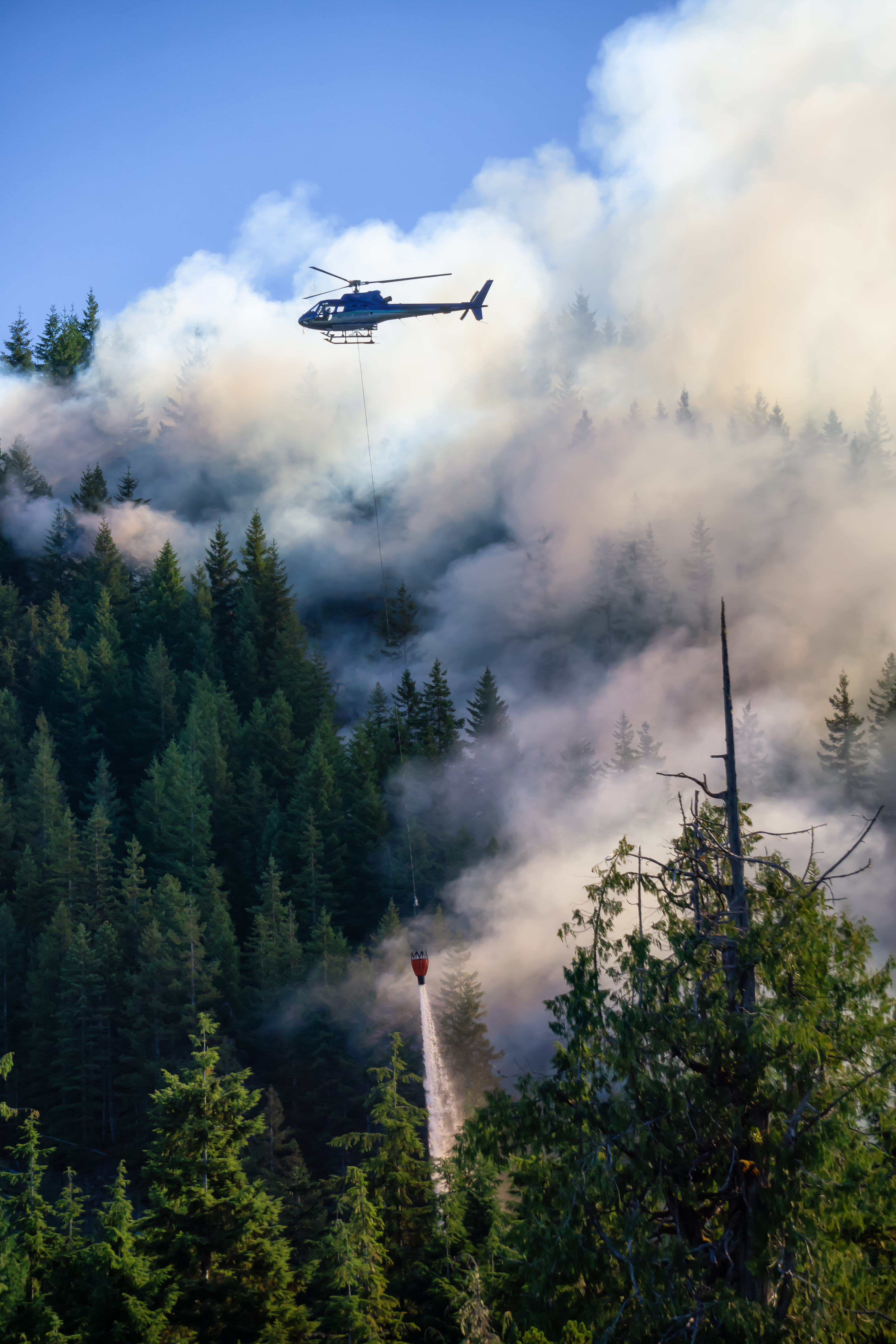 Helicopter fighting BC forest fires during a hot sunny summer day