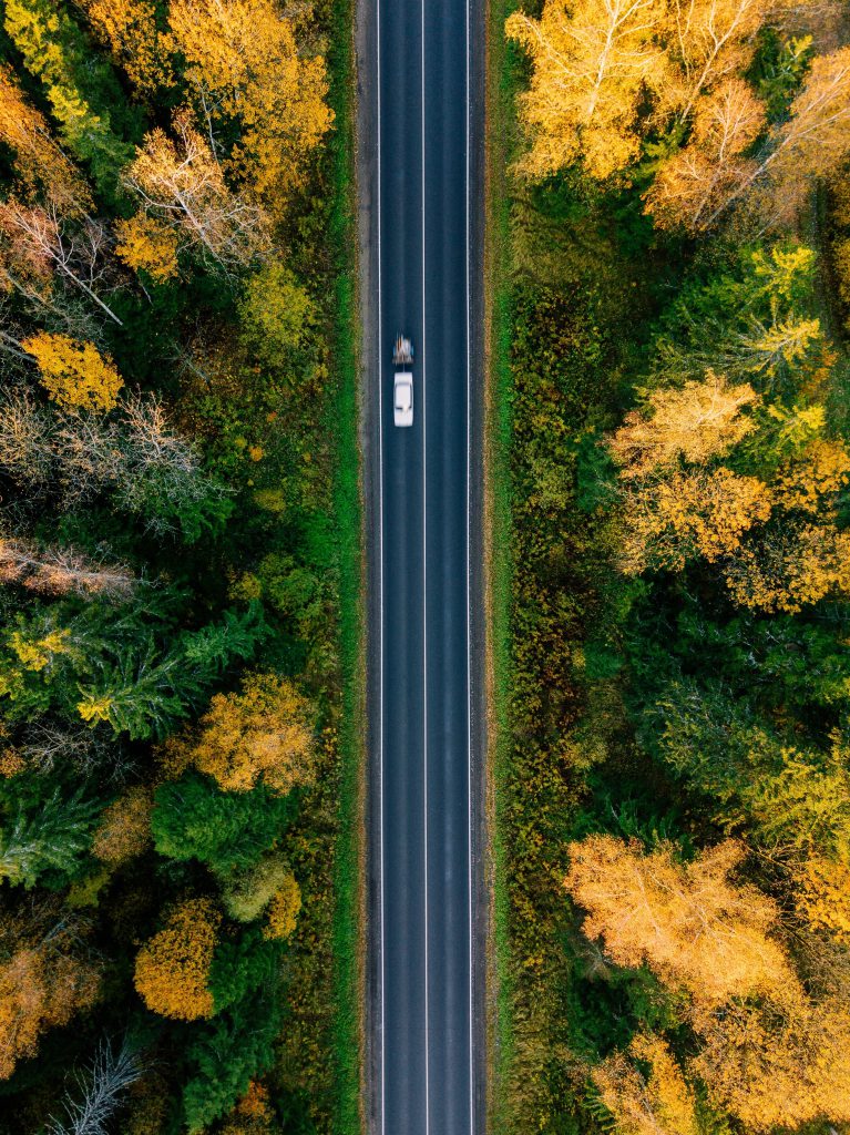 Road in the autumn forest aerial view